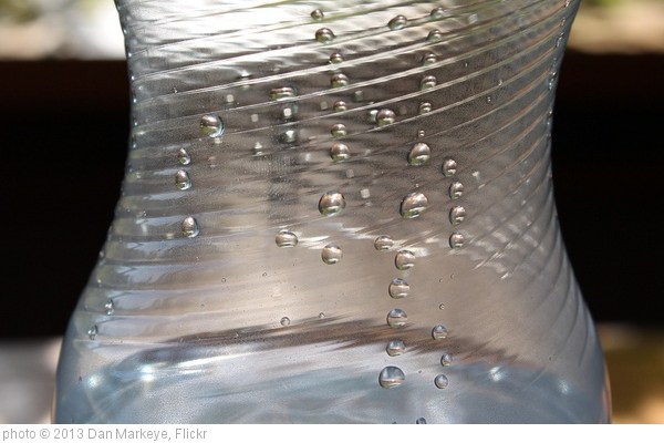 hydration water bottle